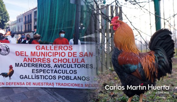 Galleros rechazan propuesta panista de prohibir palenques en Puebla