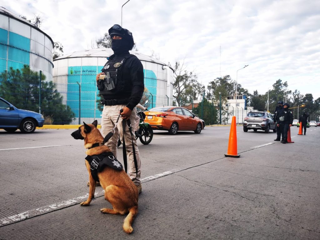 operativo SSC canino