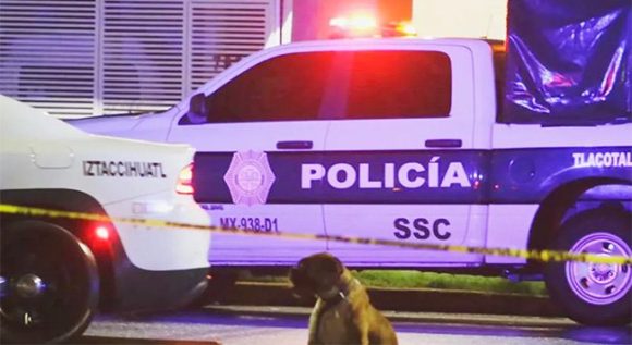Hombre muere atropellado y su perro resguarda su cuerpo