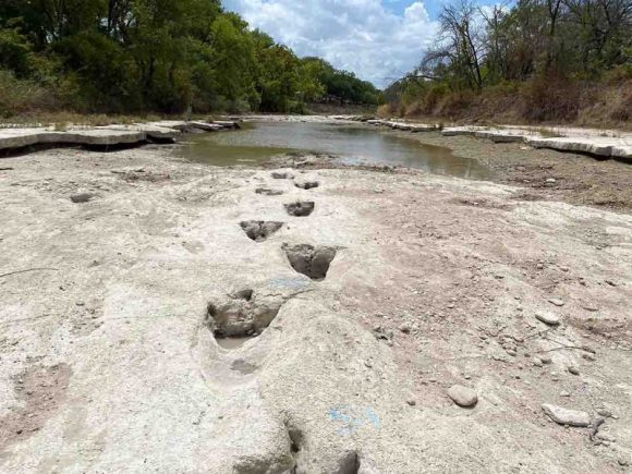 Descubren huellas de dinosaurios en río que cruzaba parque de Texas