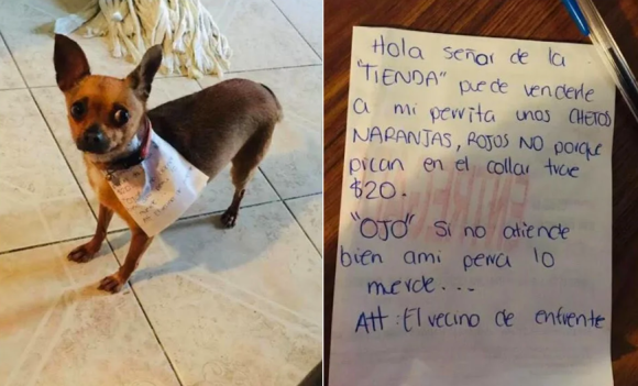 Manda a su perrita a la tienda por botana