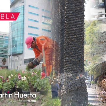 Diseñarán Ayuntamiento y Canirac proyecto de reactivación de la Avenida Juárez