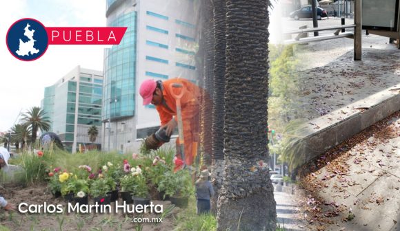Avenida Juárez Diseñarán Ayuntamiento y Canirac proyecto de reactivación de la Avenida Juárez