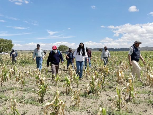 BDE3B509-F371-4A27-B550-3FE9623AA7E6 Indemniza SDR a 3 mil 400 productores por contingencias climatológicas en agosto