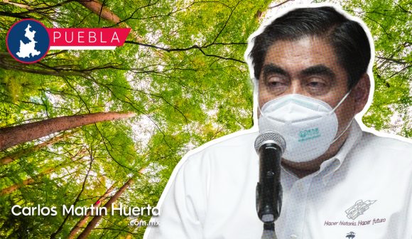 Gobierno Estatal prepara Plan de Reforestación para municipios