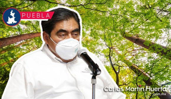 Llama Barbosa a la sociedad y ambientalistas a unirse al programa de reforestación