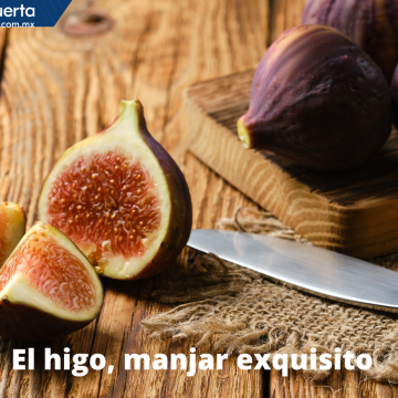 ¿Sabías que los higos no son frutas?