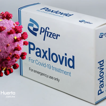 Salud tendrá el tratamiento Paxlovid anticovid