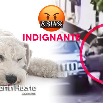 (VIDEO) Abandonan a perrito enfermo en Puebla, el perro fallece al día siguiente