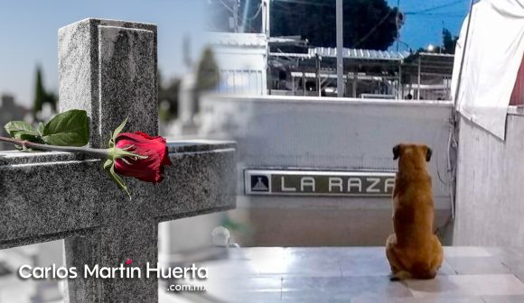 ¡Hachiko mexicano! El fiel lomito de “La Raza”