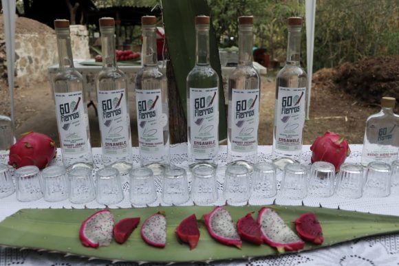SDR presenta la Ruta Agroturística de Mezcal