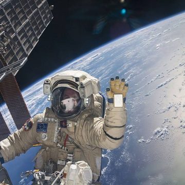 La NASA prohibe a los astronautas masturbarse en el espacio ¿Cuál es la razón?