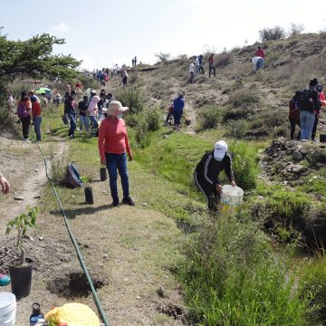 Con siembra de 9 millones de árboles, Gobierno de Puebla combate deforestación: MBH