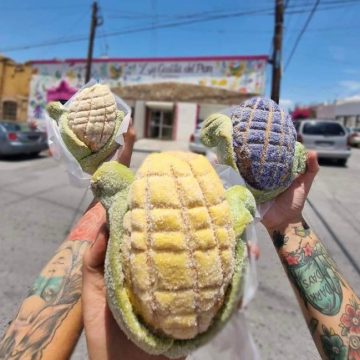 Conchelote, de la panadería a tu mesa