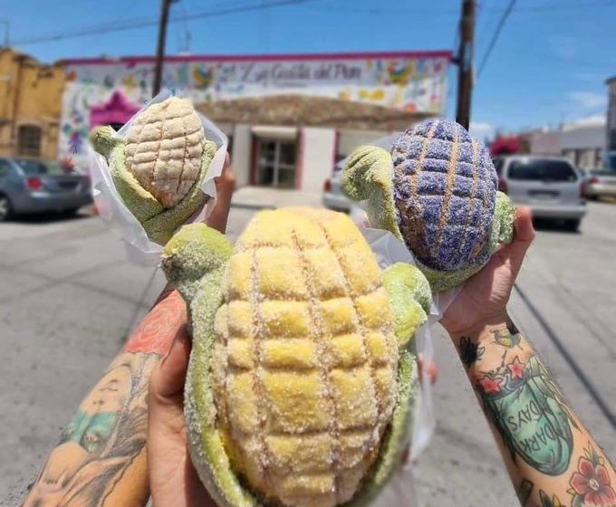 Conchelote, de la panadería a tu mesa