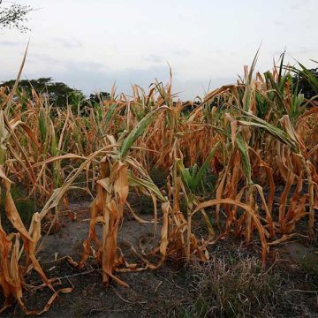 Se debe resolver el problema de falta de agua en la Mixteca de Puebla