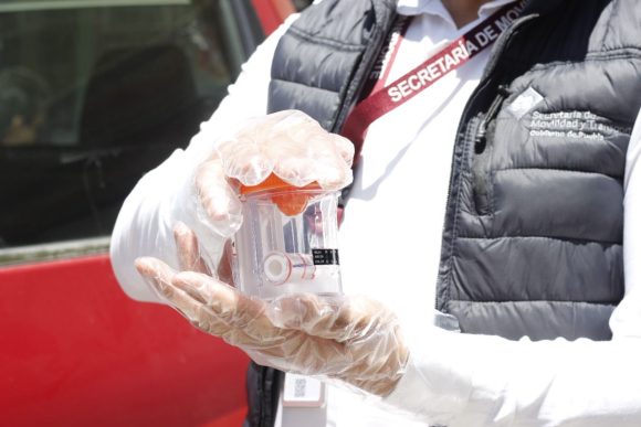 Tras análisis toxicológicos, SMT suspende a operadores del transporte público