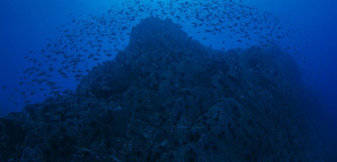 Nombran a tres montañas submarinas en honor a científicos mexicanos