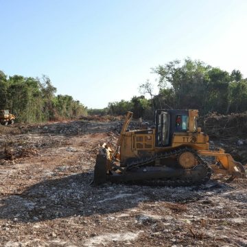 AMLO emite decreto para expropiar predios en Quintana Roo para Tren Maya