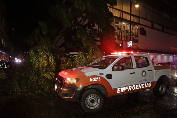 lluvias-arbol-caido-532968 Atiende Ayuntamiento de Puebla emergencia por lluvias