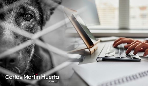 Se presentaron 47 denuncias por maltrato animal en 2023; tres casos fueron judicializados