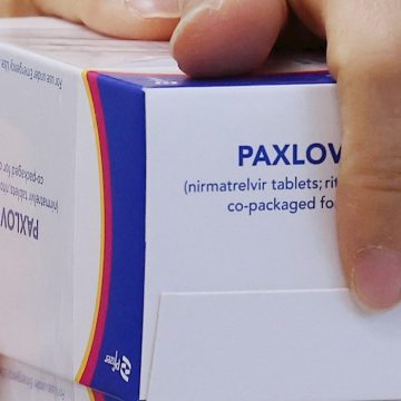 México recibe 180 mil dosis de medicamento Paxlovid para tratar covid-19