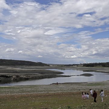 Urgente poner en marcha campaña de reforestación en la presa de Valsequillo