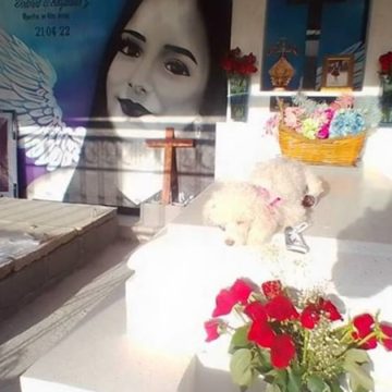 Bombona, la perrita de Debanhi Escobar, la sigue extrañando y va a su tumba