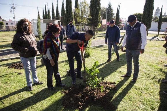 9cc34b8f-4762-4a02-a98c-8d654afa5478 Reforestan parque de Santa María Cuaco en San Andrés Cholula