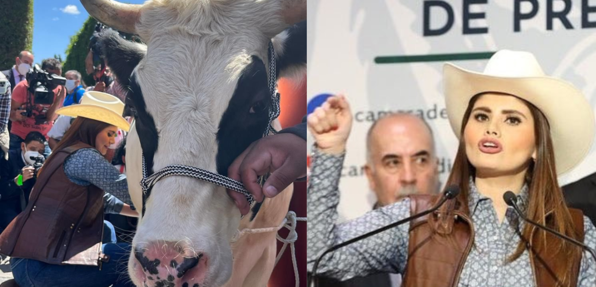 Diputada ordeña vaca en San Lázaro para exigir que leche sea alimento y no bebida