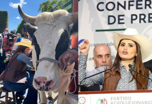 Diputada ordeña vaca en San Lázaro para exigir que leche sea alimento y no bebida