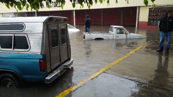 Fuerte lluvia deja árboles caídos e inundaciones en Puebla capital