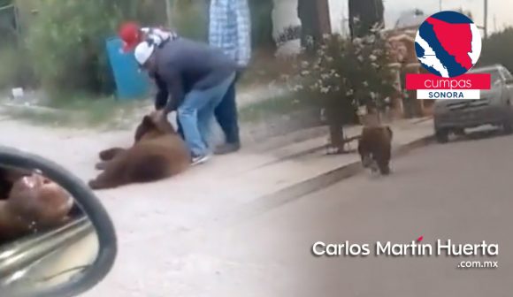(VIDEO) Matan a oso en Sonora; buscaba comida