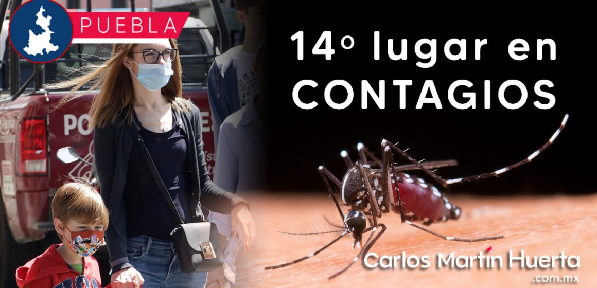 Reportan incremento en casos de Dengue en Puebla