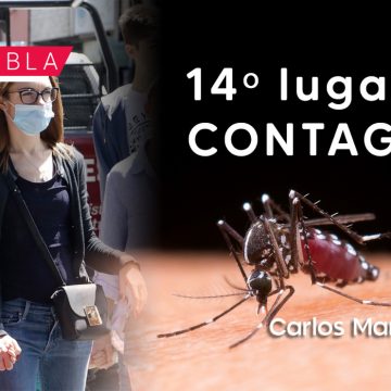 Reportan incremento en casos de Dengue en Puebla
