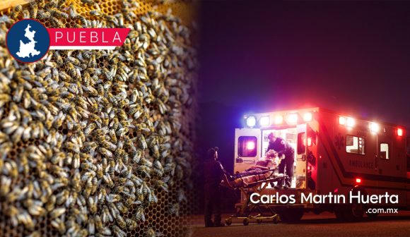 Enjambre de abejas ataca en Epatlán; hay 36 lesionados