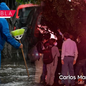 Suman 14 árboles caídos y 43 inundaciones en las últimas 24 horas en Puebla