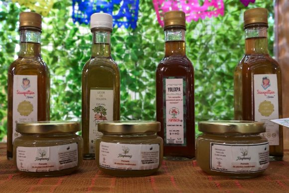 Lleva Puebla medicina tradicional al Tianguis Nacional de Pueblos Mágicos