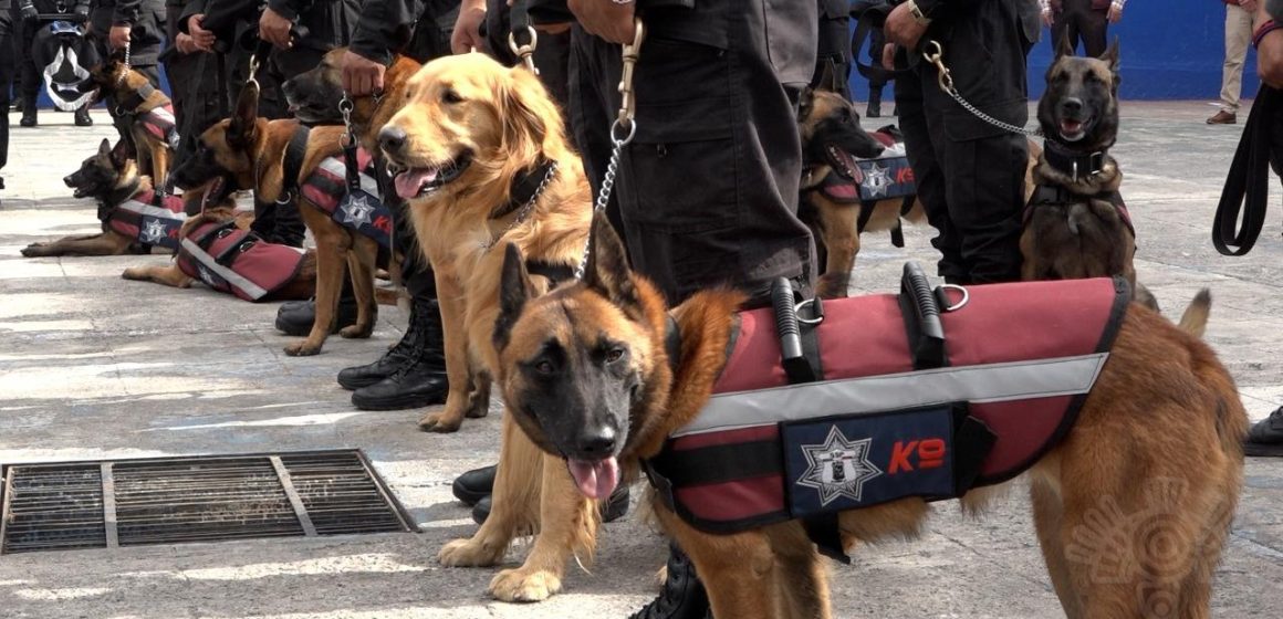 Con binomios caninos, SSP refuerza vigilancia en centros penitenciarios