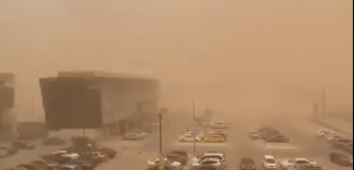Impresionante tormenta de arena derriba muro de universidad y árboles en Mexicali
