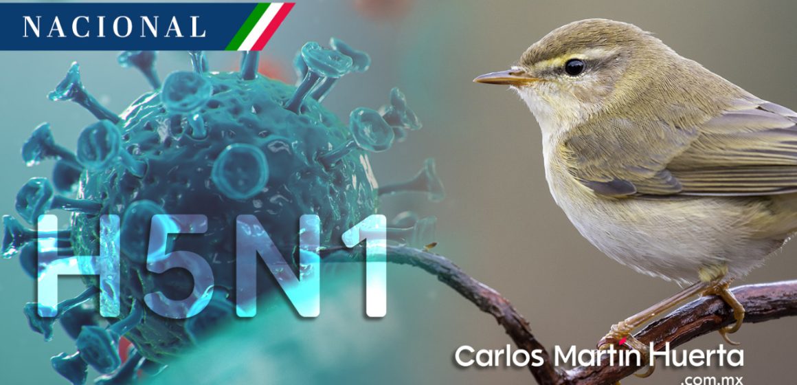 México registra primer caso de gripe aviar H5N1