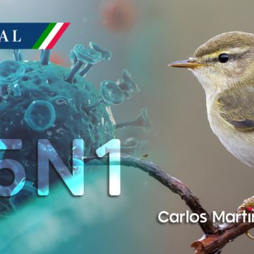 México registra primer caso de gripe aviar H5N1