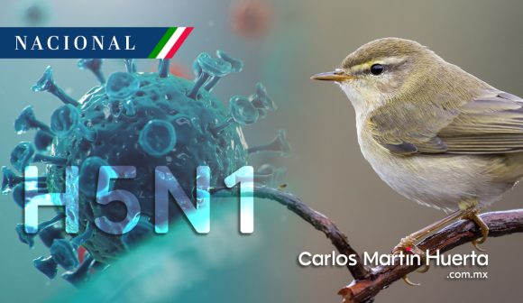 Gripe aviar - H5N1 México registra primer caso de gripe aviar H5N1
