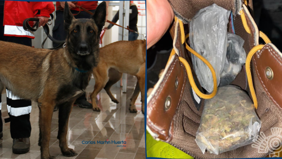 Binomio canino detecta ingreso de “droga” en el Centro Penitenciario Puebla