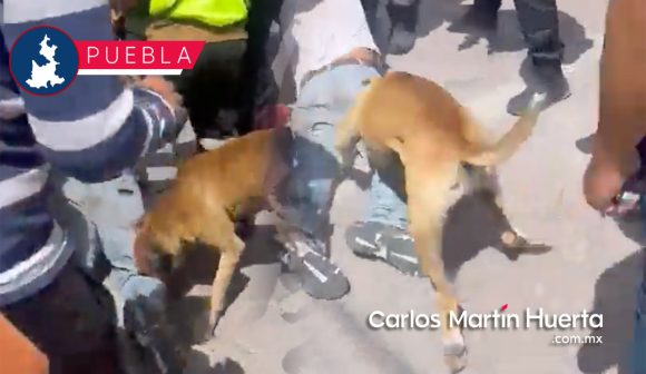 Perro se suma a linchamiento y muerde al ladrón en Tecamachalco