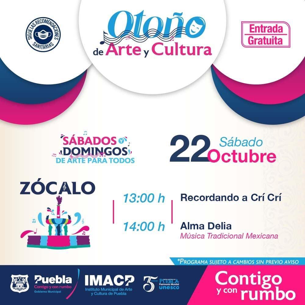 actividades IMACP 1