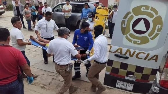 Pitbull que atacó a presunto ladrón no será sacrificado