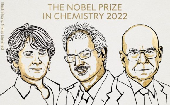 Nobel de Química 2022 por sus contribuciones bautizadas como química “Lego”