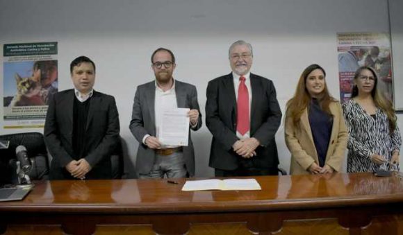 post_4fffcc83-3ab6-4b0c-971e-679980afe3f0 México, primer país en recibir validación de la OMS por eliminar la rabia humana