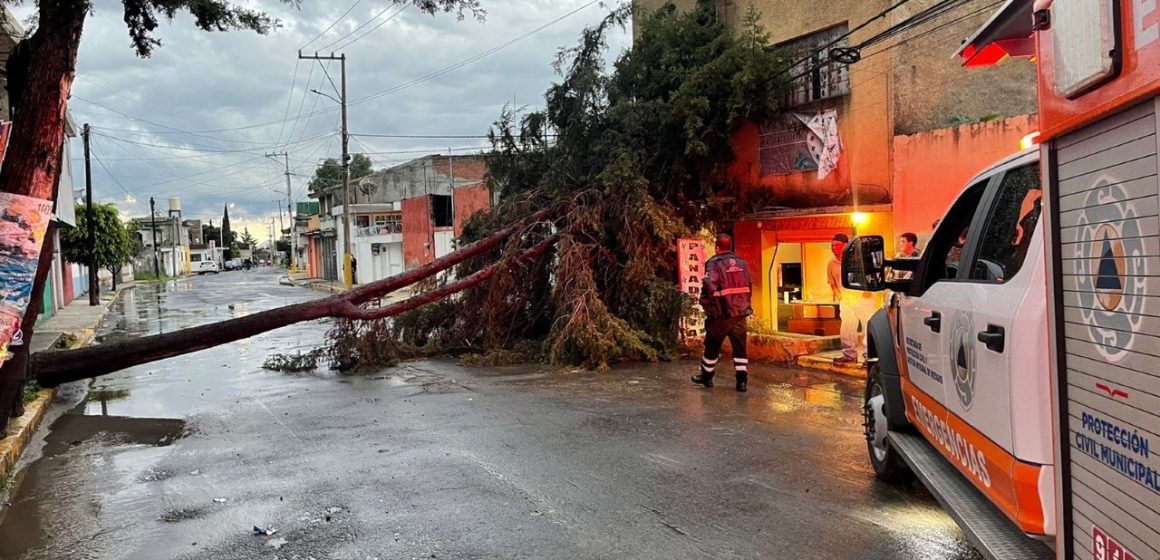 Ayuntamiento de Puebla atiende reportes por caída de árboles